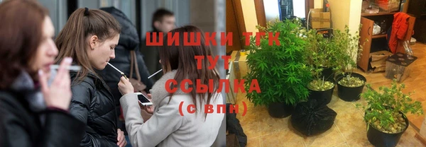 МДПВ Абинск