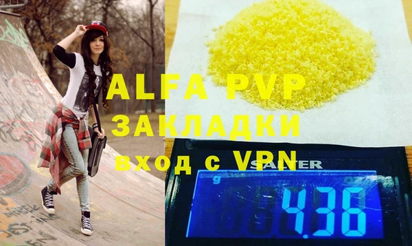 хмурый Абаза