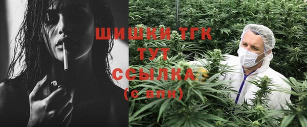 хмурый Абаза