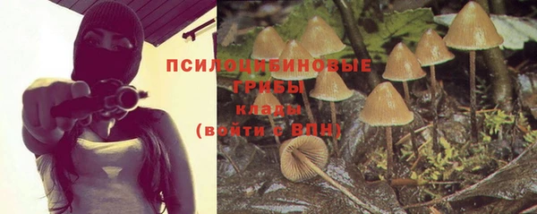 МДПВ Абинск