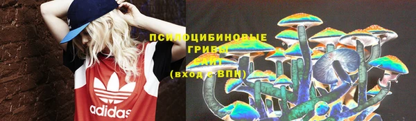 МДПВ Абинск
