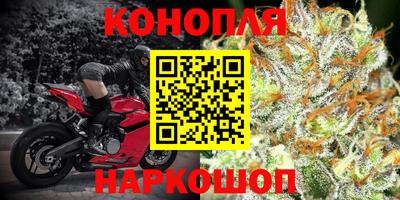 бошки Краснодар