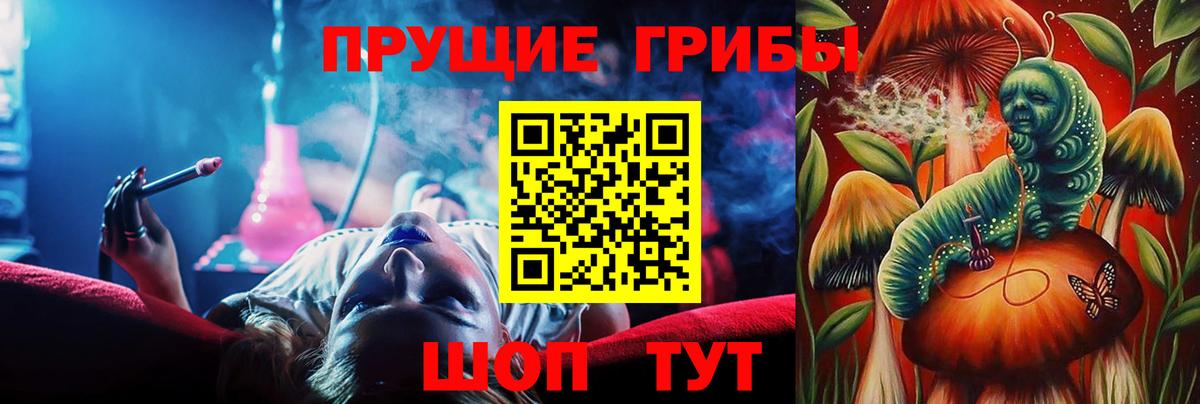 наркошоп  Вход с VPN  Курчатов  Псилоцибиновые грибы Cubensis 
